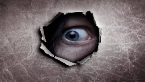Five Eyes, Spies and Govt lies…Dotcom speaks