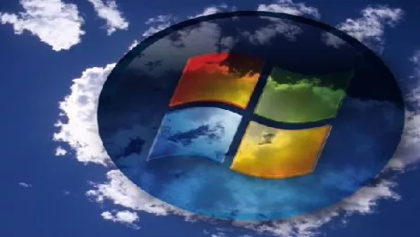 Kiwis flock to the Microsoft Cloud