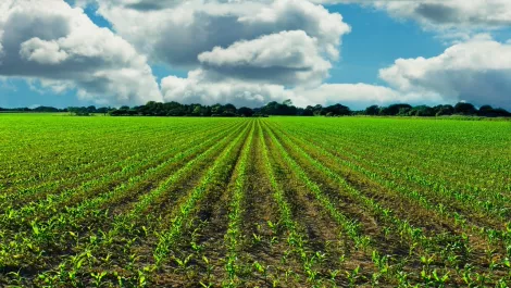 Vodafone offers farmers glimpse of 4G future