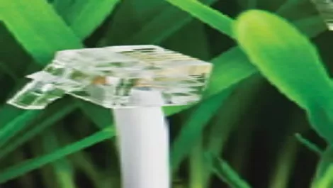 Moo-ving rural  broadband forwards