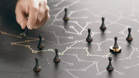 XLAN'S A WRAP FOR 2010