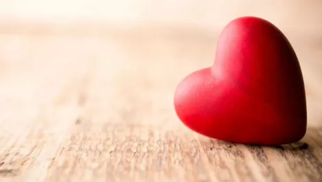 Kiwis not so shallow, according to finding love survey