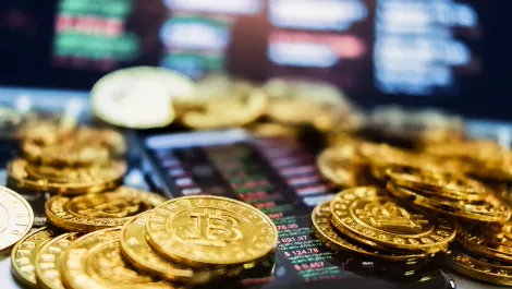 Cryptopia: The Kiwi exchange riding the crypto boom